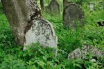 Mszana Dolna - cmentarz �ydowski