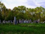 Cmentarz �ydowski Namestovo �idovsk� h�bitov Namestovo