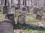 Nowy Wi�nicz - cmentarz �ydowski