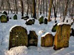 Nowy Wi�nicz - cmentarz �ydowski