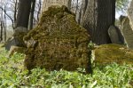 cmentarz �ydowski w Nowym �migrodzie