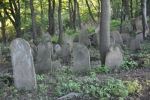 cmentarz �ydowski w Nowym �migrodzie