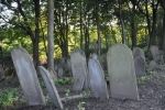 cmentarz �ydowski w Nowym �migrodzie