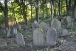 cmentarz �ydowski w Nowym �migrodzie