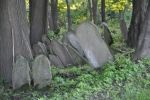 cmentarz �ydowski w Nowym �migrodzie