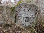 cmentarz �ydowski w Oleszycach