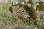 Oleszyce - cmentarz �ydowski