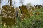 Oleszyce - cmentarz �ydowski