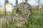 Oleszyce - cmentarz �ydowski