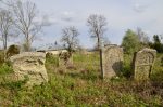 Oleszyce - cmentarz �ydowski