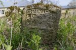 Oleszyce - cmentarz �ydowski