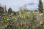 Oleszyce - cmentarz �ydowski