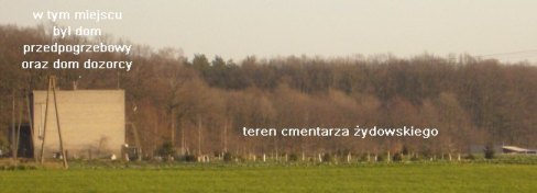 teren cmentarza �ydowskiego