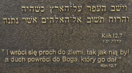 Cmentarz �ydowski w Ostrowie Wielkopolskim Jewish cemetery in Ostrow Wielkopolski