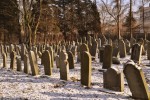 O�wi�cim - cmentarz �ydowski