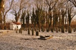 O�wi�cim - cmentarz �ydowski