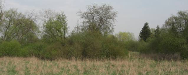 Pi�tek - teren cmentarza �ydowskiego