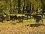 Piotrk�w Trybunalski - cmentarz �ydowski