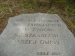 Miejsce pami�ci spoczywaj�cych tu �yd�w - mieszka�c�w naszej gminy