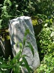 Podwilk - cmentarz �ydowski