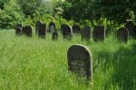 Pruszk�w - cmentarz �ydowski