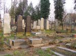 Pszczyna - cmentarz �ydowski