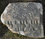 macewa z cmentarza �ydowskiego w Radzyminie