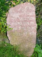 macewa z cmentarza �ydowskiego w Radzyminie