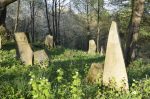 Ryman�w - cmentarz �ydowski