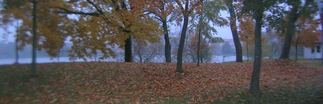 Ryn - cmentarz �ydowski