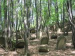 Cmentarz �ydowski w Rzepienniku Strzy�ewskim