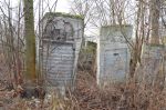 Cmentarz �ydowski w Sieniawie