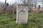 Cmentarz �ydowski w Sieniawie