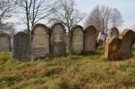 Cmentarz �ydowski w Sieniawie