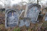 Cmentarz �ydowski w Sieniawie