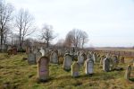 Cmentarz �ydowski w Sieniawie