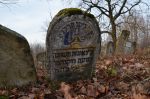 Cmentarz �ydowski w Sieniawie