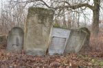 Cmentarz �ydowski w Sieniawie