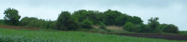 Skalbmierz - cmentarz �ydowski