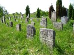 Skierniewice - Cmentarz �ydowski przy ul. Granicznej 