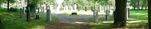 panoramiczny widok cmentarza �ydowskiego w Wilamowicach