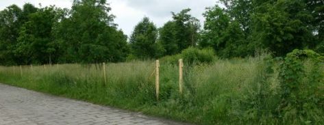 Cmentarz �ydowski w S�awatyczach