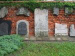 macewy z cmentarza �ydowskiego w S�upcy