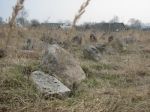 �mi�owicze - cmentarz �ydowski