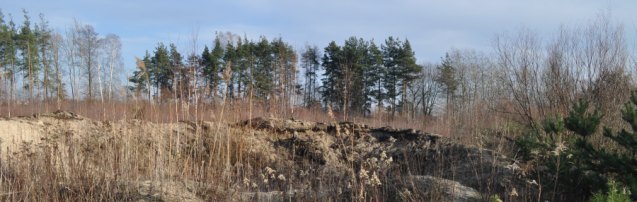 Cmentarz �ydowski w Stanis�awowie