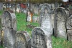 cmentarz �ydowski w Starachowicach