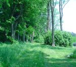 cmentarz �ydowski w Suszu