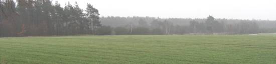 teren cmentarza �ydowskiego w Szre�sku