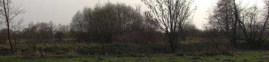 teren cmentarza �ydowskiego w Szre�sku