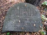 Tarnobrzeg - cmentarz �ydowski